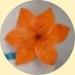 Tiger Lily Cake
